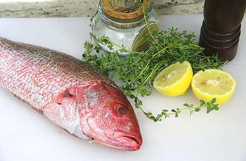 Big Green Egg Grilled Red Snapper Recipe